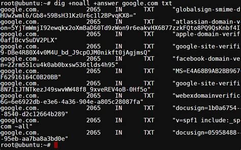 dig output|dig txt record.